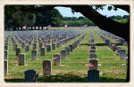 Arlington National Cementary