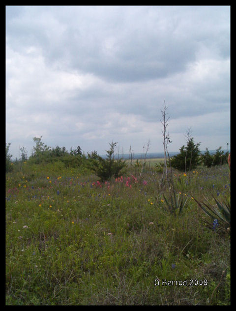 Looking towards Granny\'s farm