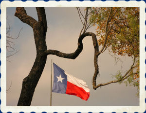 txflag.jpg
