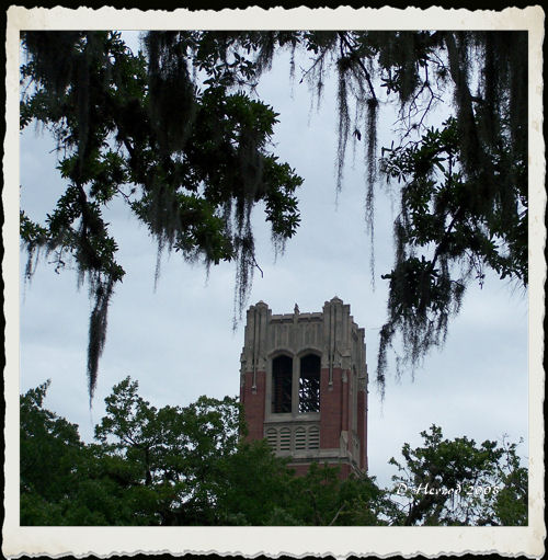 University Auditorium
