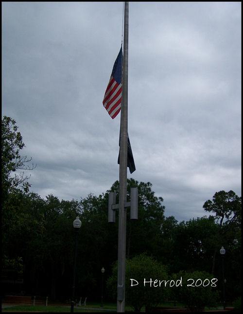 University of Florida