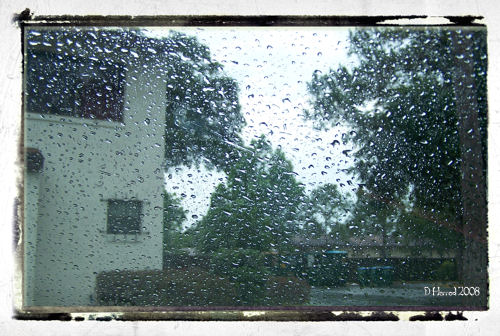 Caught in the rain.
