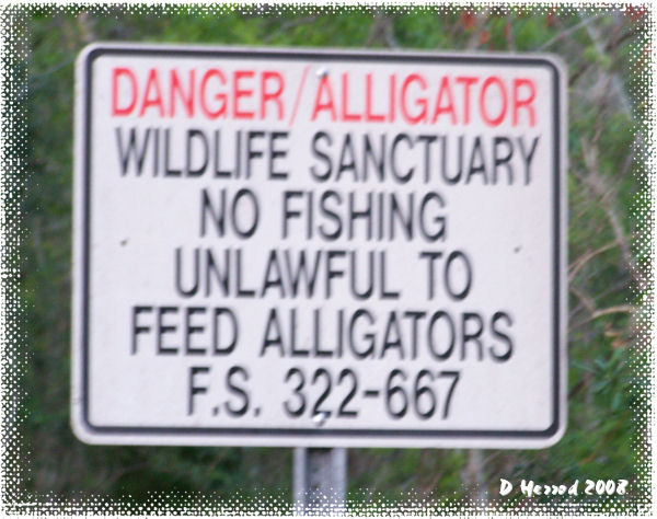 Gator warning sign