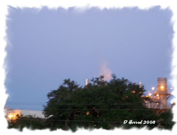 Steam from building rising over trees.