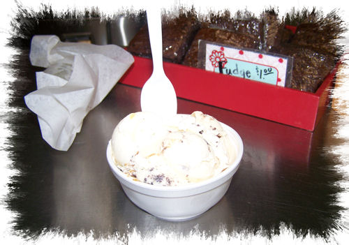 I choose a double dipper. 2 junior size dips. There were 2 differant peanut butter flavors and I couldn't decide which one. It was yummy.