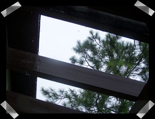 Looking up through our front porch.  It doesn't have a roof just the those beams.