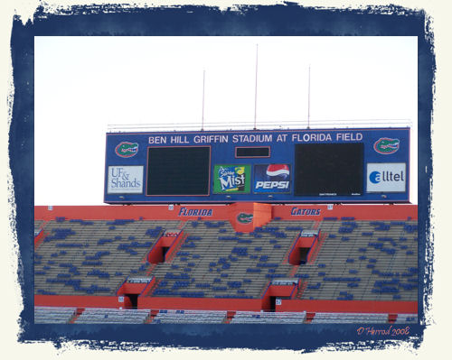 Inside The Swamp