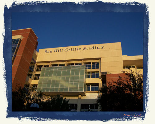 Taken from in front of the O'Connel Center.