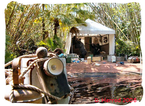 cruise Jungle Cruise