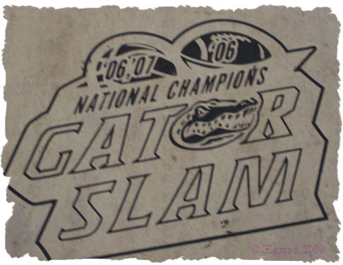 3 National titles in 366 days. NCAA Men's Basketball Champions '06 & '07 and NCAA Footbal Champ