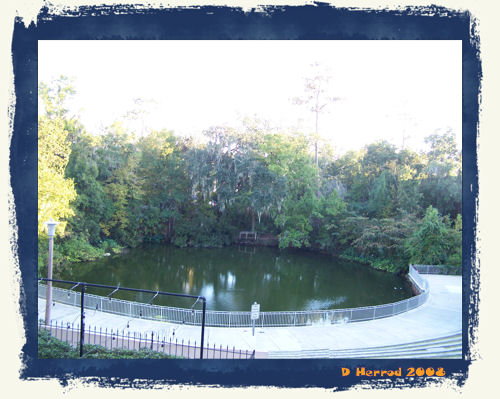 Pond area in out side the Rietz Student Center.