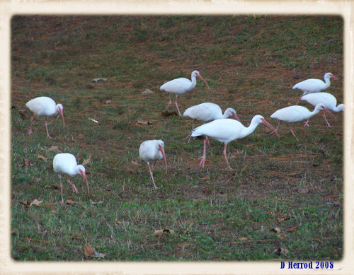 This was a close as I could get.