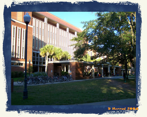 Libary West. The Big Guy spends a lot of time here.