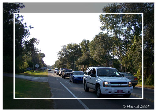 My street can get busy at times.