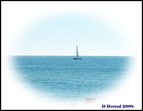 Taken near Bocca Grande, FL