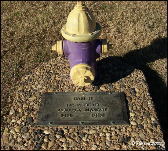Grave marker for Dam-it, College Mascot from 1916-1920.