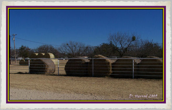 Takes a lot of hay for all those horses.