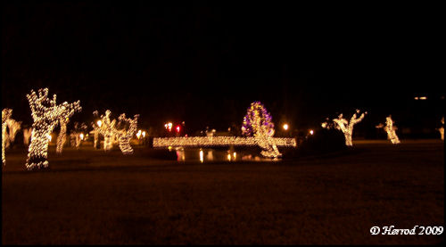 The Pond decorated for Christmas.
