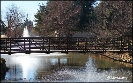 Reflection Pond and Leggit Bridge