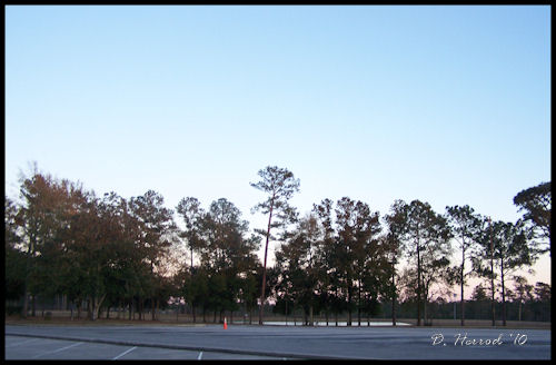 Well the sewage lagoon does look beautiful.