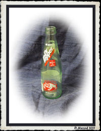 dphhs98 Dublin Dr Pepper Bottle