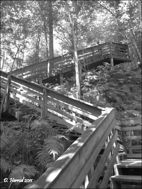 Boardwalk at Devil's Miller Hopper Geological State Park