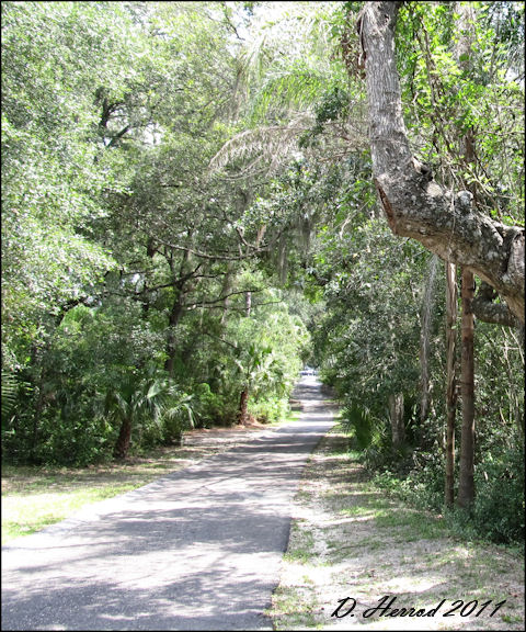 Driving path in Ravine Garden State Park