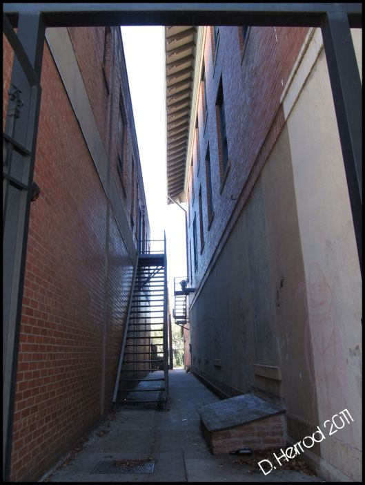 Weekly Photo Challenge: Between