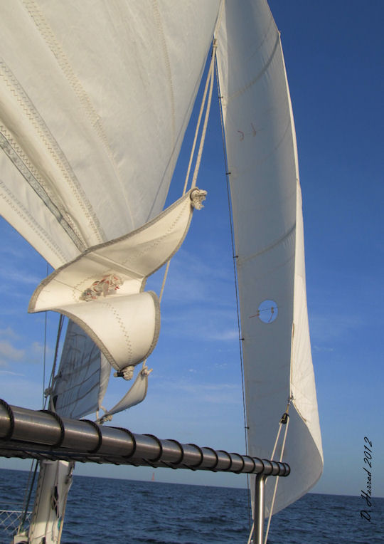 sirius1 Sailing Catamaran Sirius