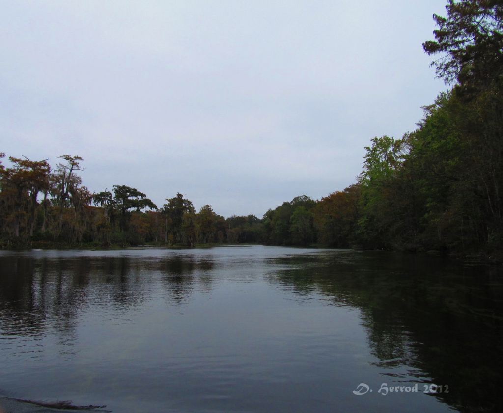 Wakulla River, Wakulla Springs, Florida