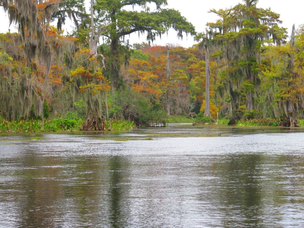 Wakulla River Florida