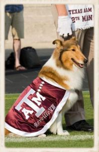 Reveille
