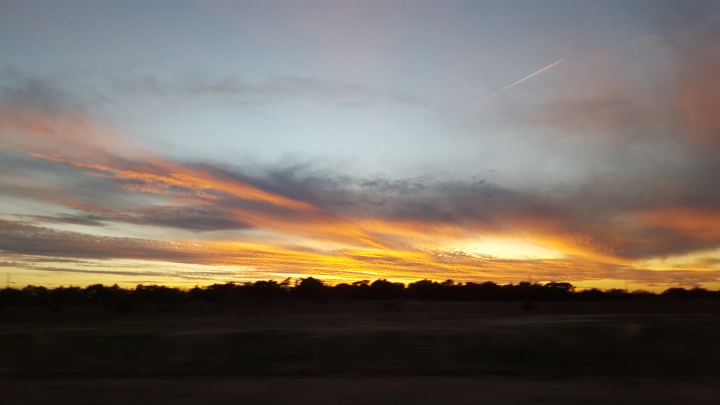 SunsetLibHill.jpg