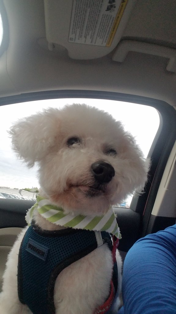 Princess Maddie Mae taking a selfie.