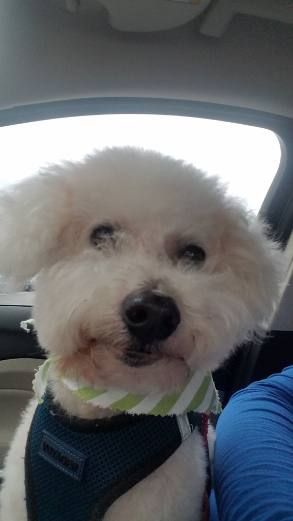 Princess Maddie Mae taking a selfie.