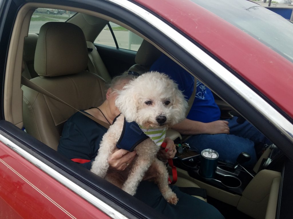 Maddie ready to hit the road.