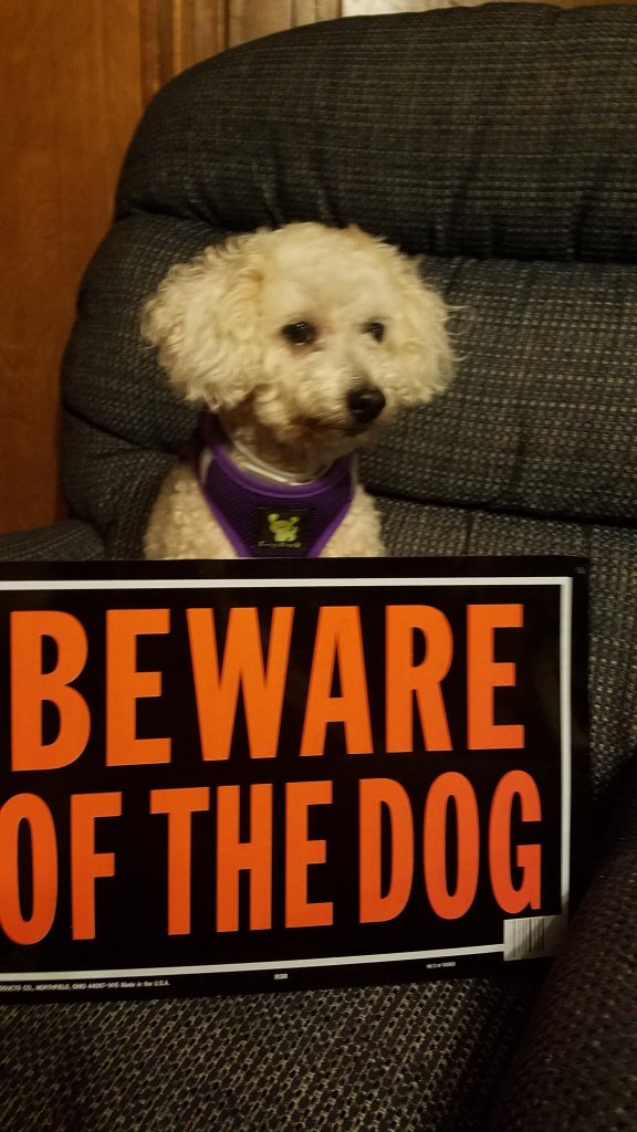 Maddie and her beware of dog sign.