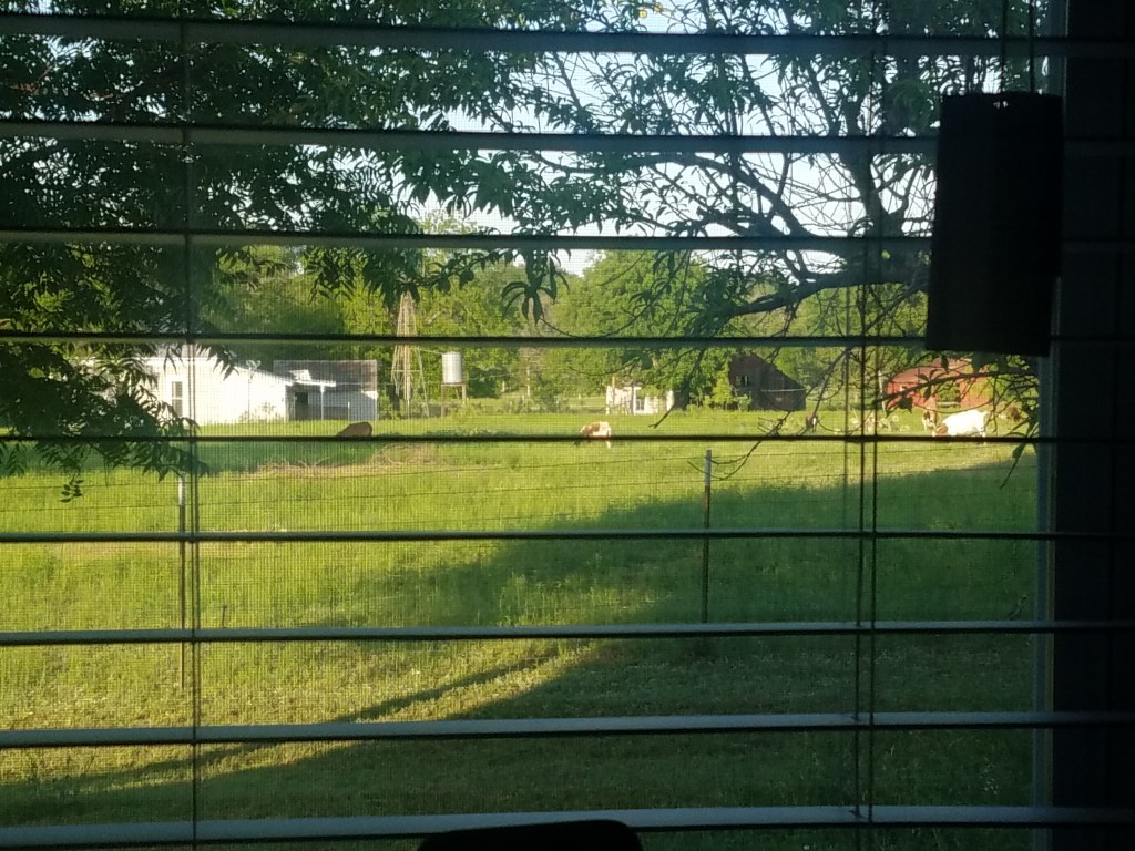 View from bedroom window. 