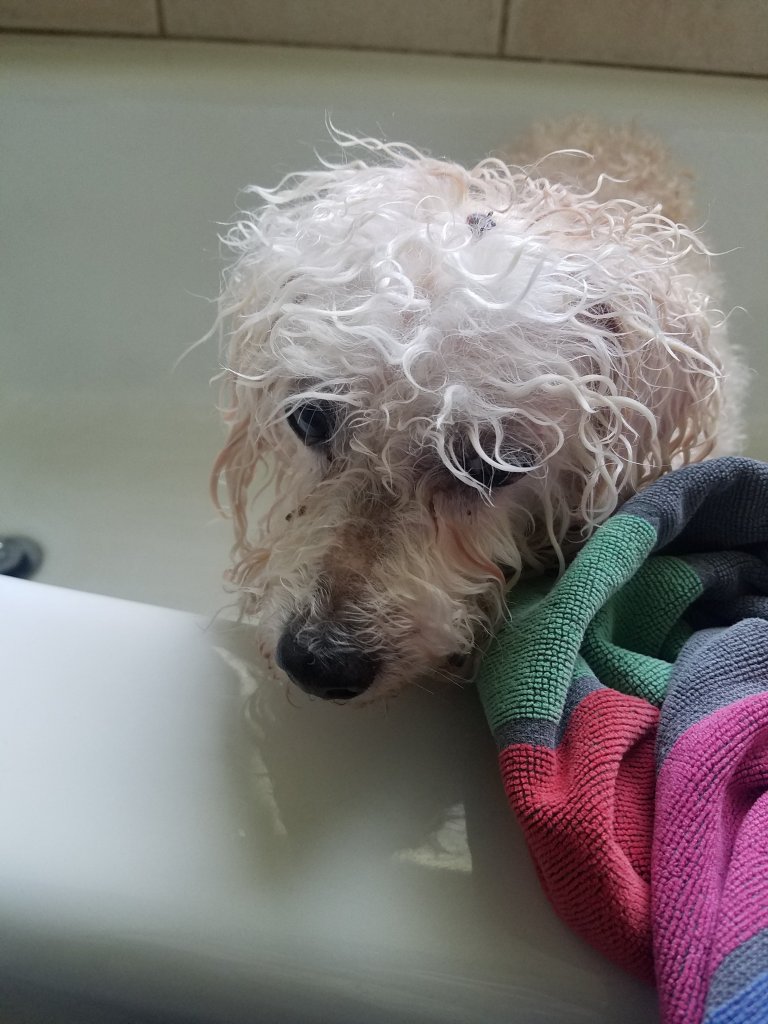 Maddie is not happy.