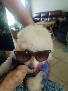 Maddie in sun glasses.