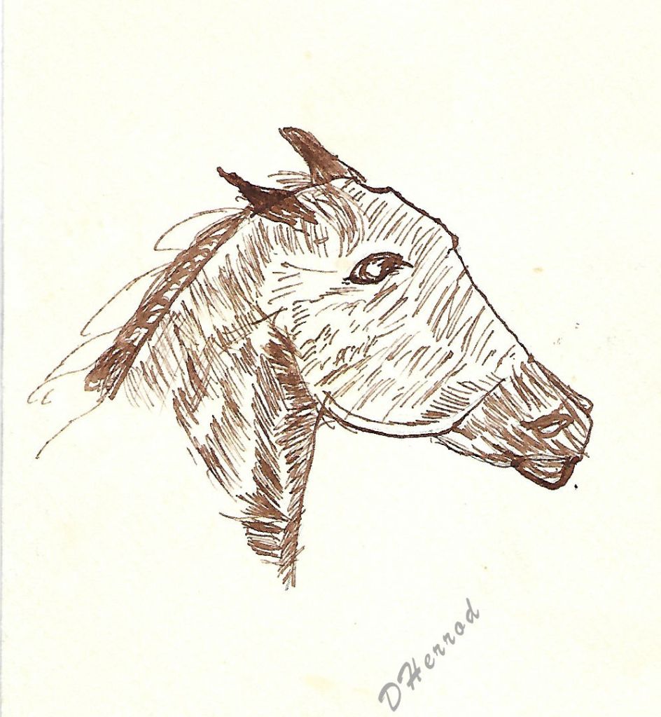 Sepia Ink on paper of horse