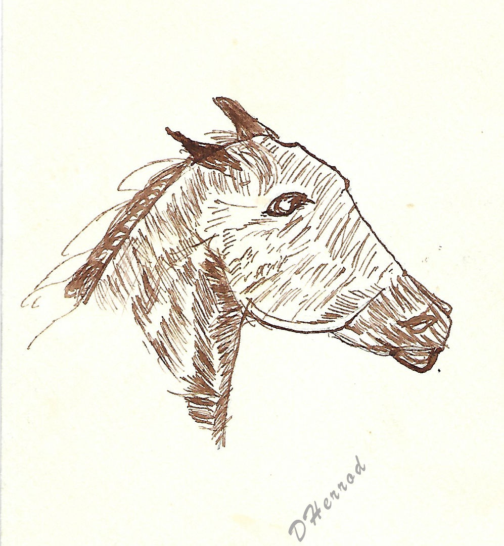 Sepia Ink on paper of horse