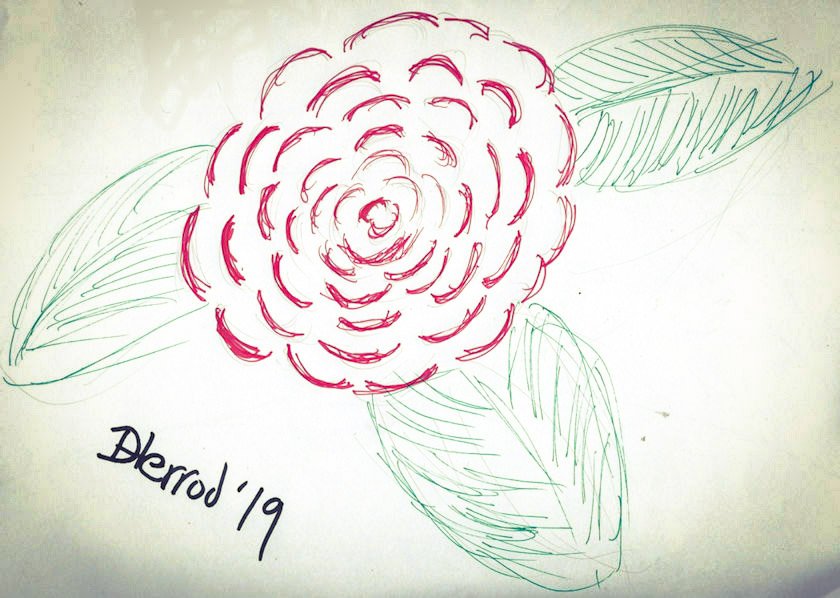 Red rose in ink.