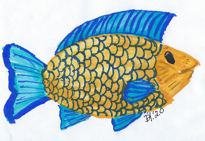 Ink drawing of a a fish