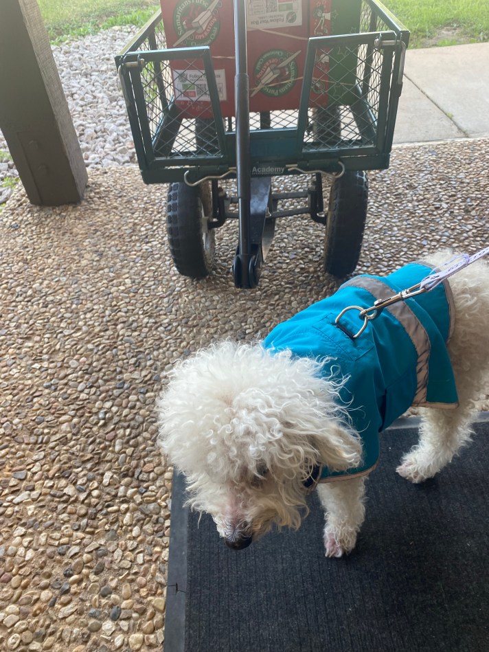 Trying to get the boxes in the building.