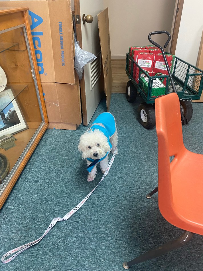 Dropping the boxes off.