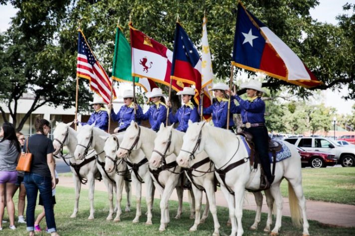 HSU 6 White Horses