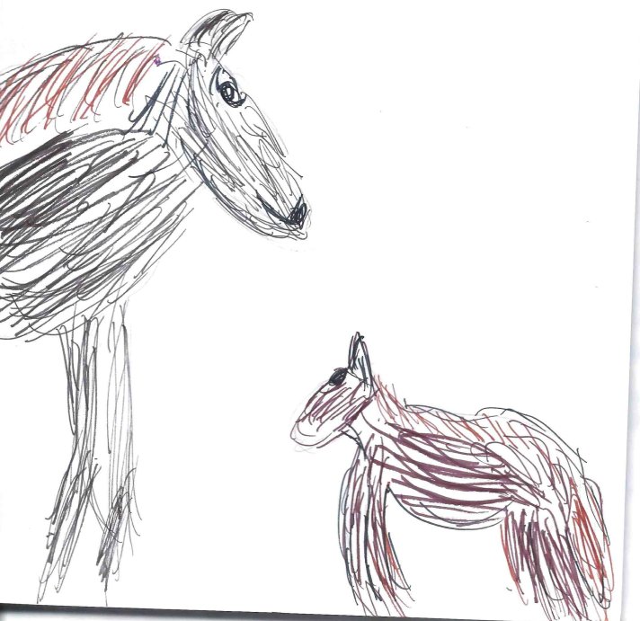 large horse & miniature horse in ink